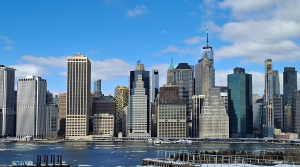 Read more about the article Manhattan: betonowa wyspa i jej zielone „skrawki”. Jak ta część Nowego Jorku radzi sobie z retencją wody?